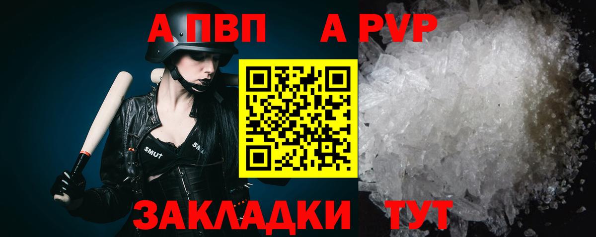APVP СК Коряжма