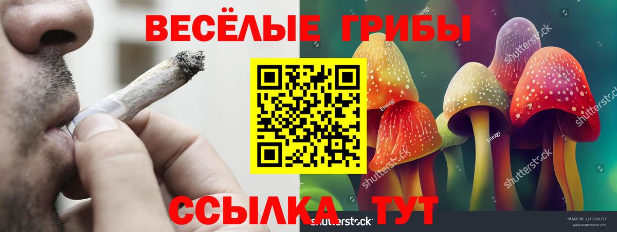 Псилоцибиновые грибы GOLDEN TEACHER Коряжма